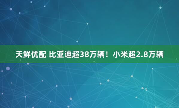 天鲜优配 比亚迪超38万辆！小米超2.8万辆