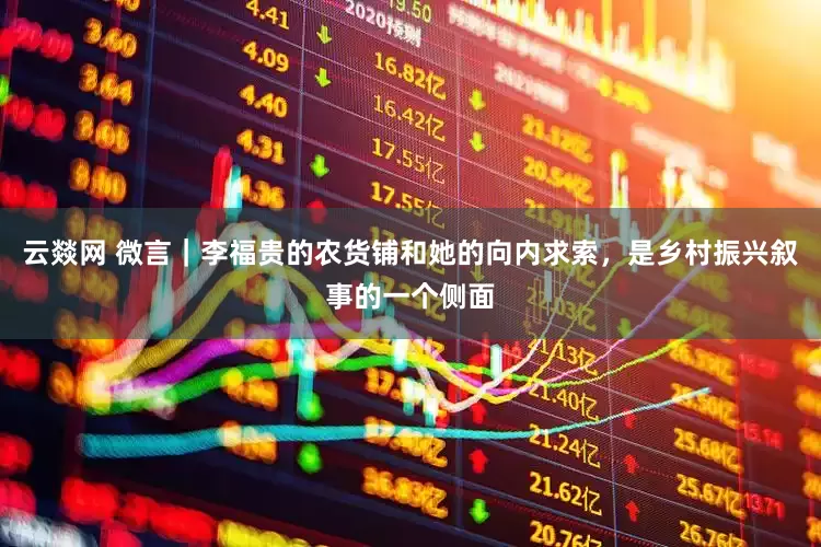 云燚网 微言｜李福贵的农货铺和她的向内求索，是乡村振兴叙事的一个侧面