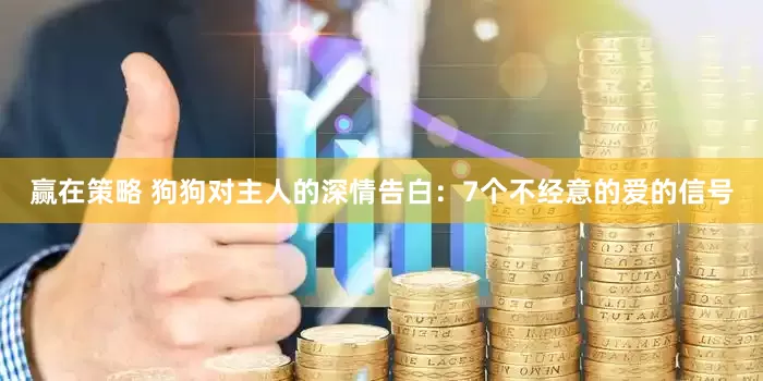 赢在策略 狗狗对主人的深情告白：7个不经意的爱的信号
